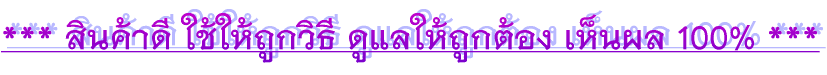*** ԹҴ ١Ը ١ͧ 繼 100% ***